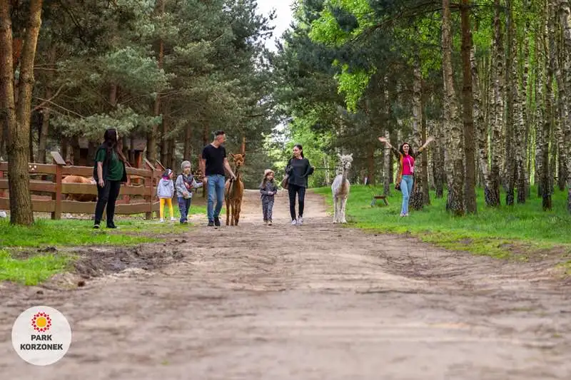 Spacer ze zwierzętami w Parku Korzonek